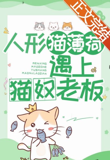 人形貓薄荷遇上貓奴老闆